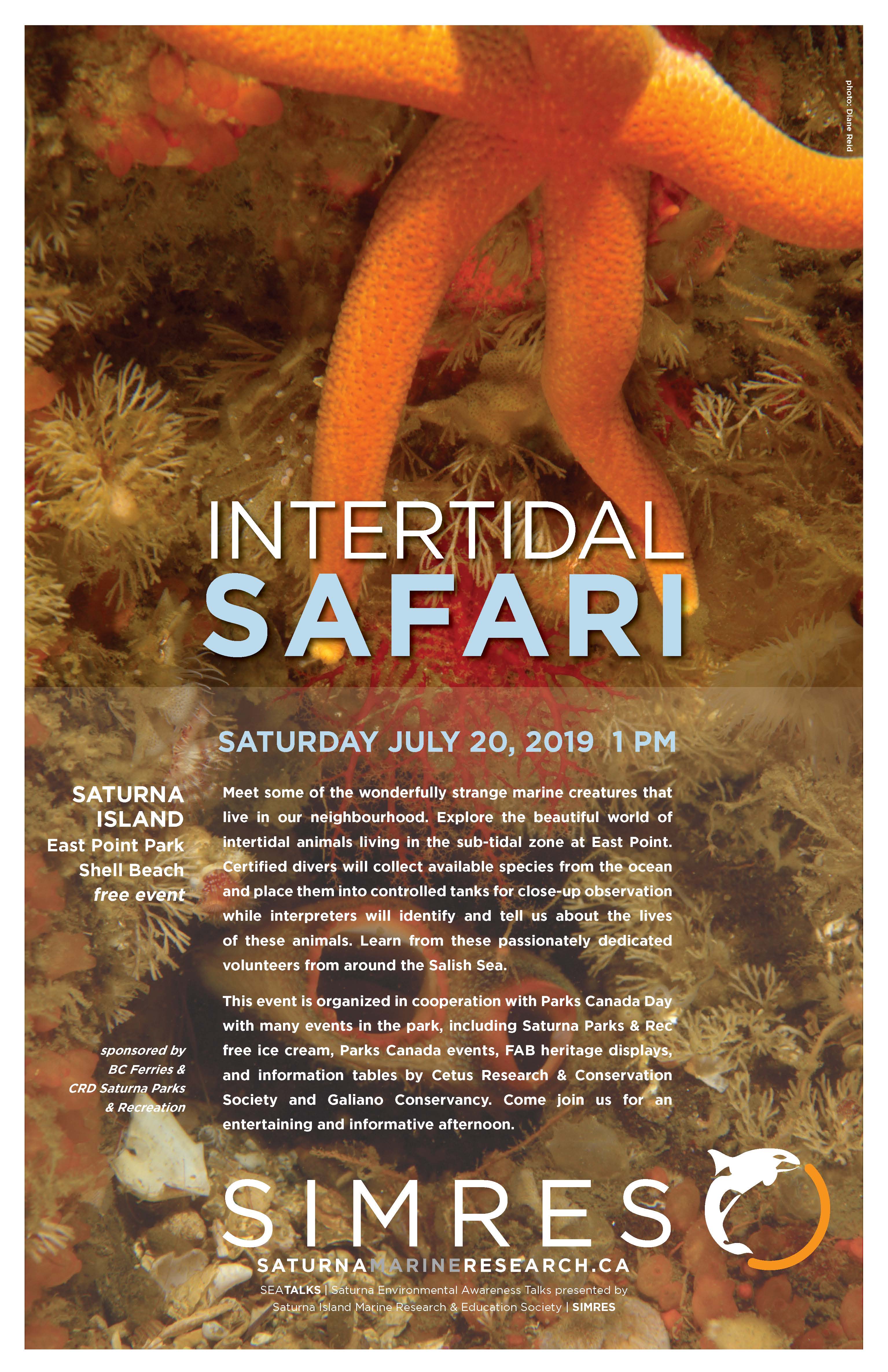 Intertidal Life Intertidal Life
